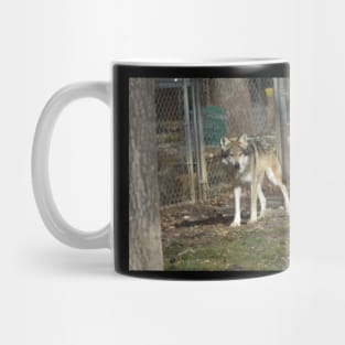 Mexican Grey Wolf Mug